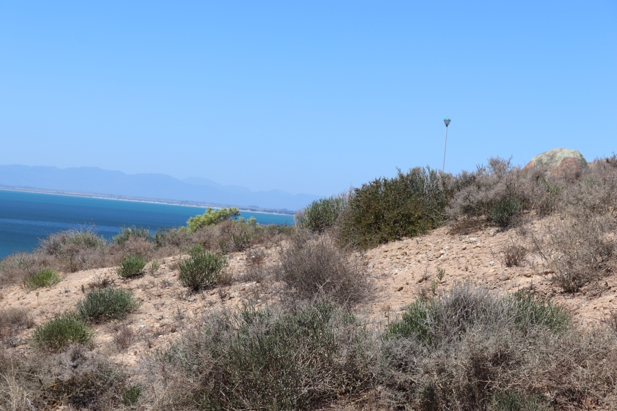 0 Bedroom Property for Sale in Steenbergs Cove Western Cape